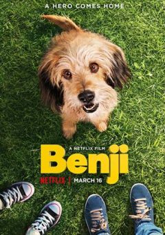 Benji Torrent – WEB-DL 720p/1080p Dual Áudio