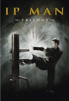 O Grande Mestre Trilogia Torrent – BluRay 720p/1080p Dual Áudio