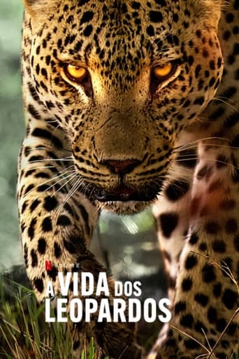 A Vida dos Leopardos (2024) WEB-DL 1080p Dual Áudio