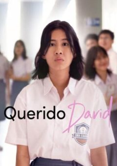 Querido David Torrent (2023) WEB-DL 1080p Dual Áudio