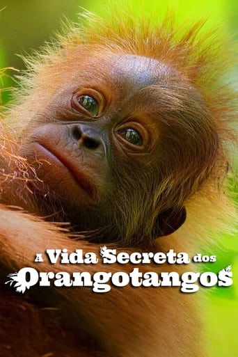 A Vida Secreta dos Orangotangos (2024) WEB-DL 1080p Dual Áudio