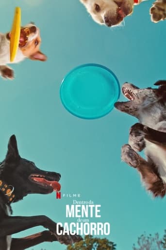 Dentro da Mente de um Cachorro (2024) WEB-DL 1080p Dual Áudio