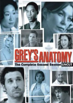 Grey’s Anatomy 2ª Temporada Torrent (2006)